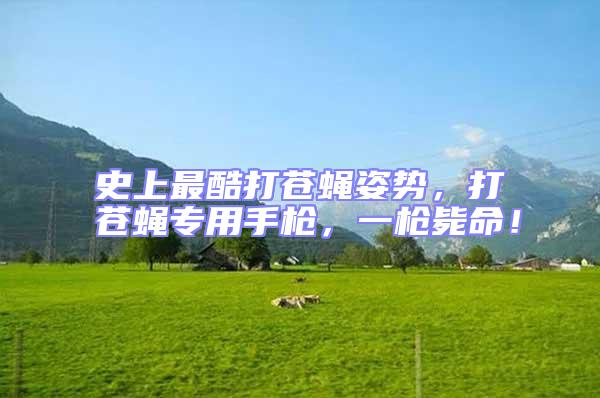 史上最酷打蒼蠅姿勢,打蒼蠅專用手槍,一槍斃命!