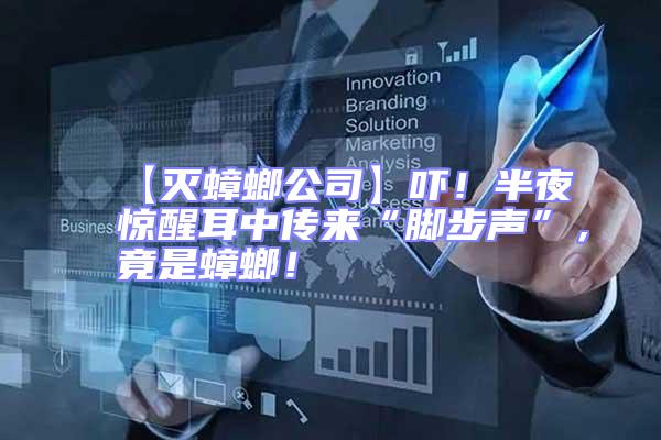 【滅蟑螂公司】嚇!半夜驚醒耳中傳來“腳步聲”,竟是蟑螂!