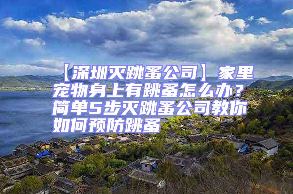 【深圳滅跳蚤公司】家里寵物身上有跳蚤怎么辦?簡單5步滅跳蚤公司教你如何預防跳蚤