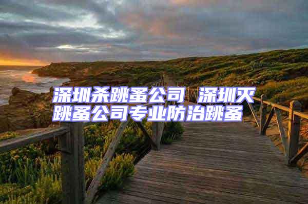 深圳殺跳蚤公司 深圳滅跳蚤公司專業防治跳蚤