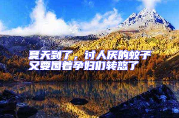 夏天到了,討人厭的蚊子又要圍著孕婦們轉悠了