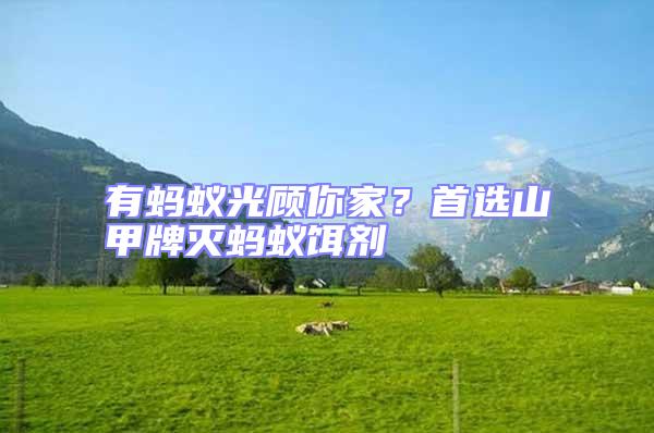 有螞蟻光顧你家?首選山甲牌滅螞蟻餌劑