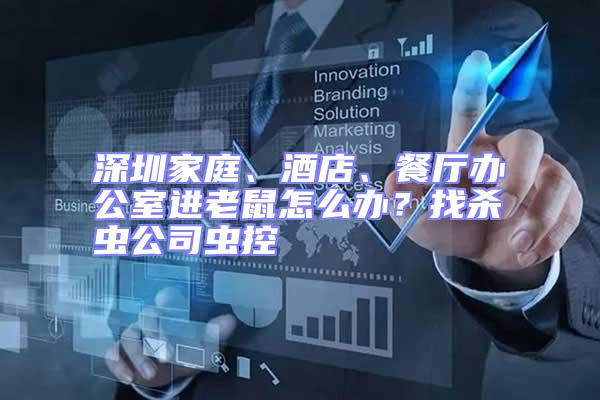 深圳家庭、酒店、餐廳辦公室進老鼠怎么辦？找殺蟲公司蟲控