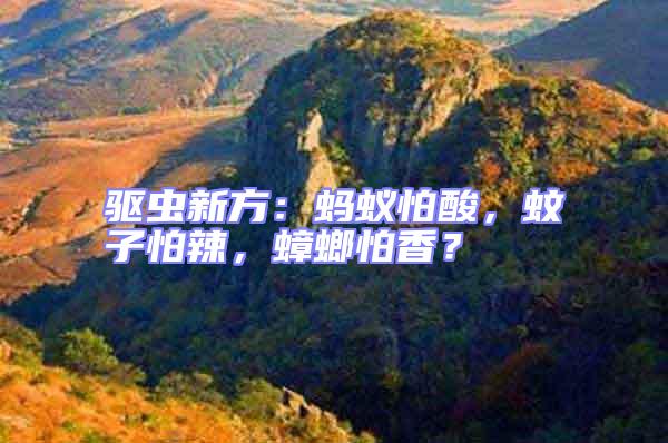 驅蟲新方:螞蟻怕酸,蚊子怕辣,蟑螂怕香?