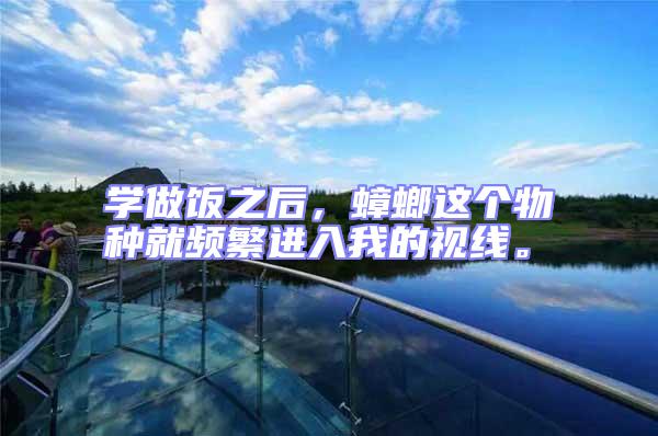 學(xué)做飯之后，蟑螂這個物種就頻繁進(jìn)入我的視線。