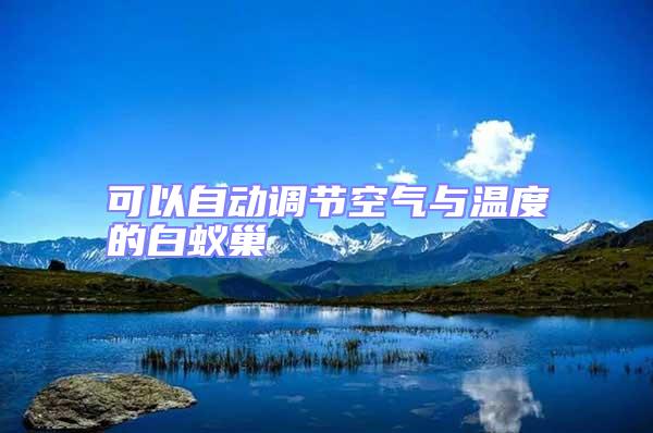 可以自動調節(jié)空氣與溫度的白蟻巢