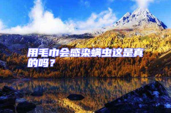 用毛巾會感染螨蟲這是真的嗎？