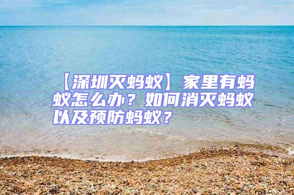 【深圳滅螞蟻】家里有螞蟻怎么辦?如何消滅螞蟻以及預防螞蟻?