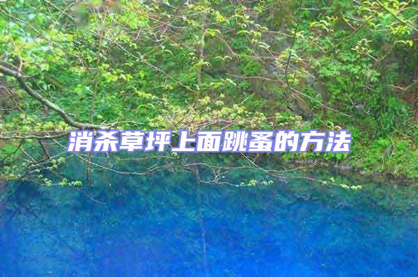 消殺草坪上面跳蚤的方法