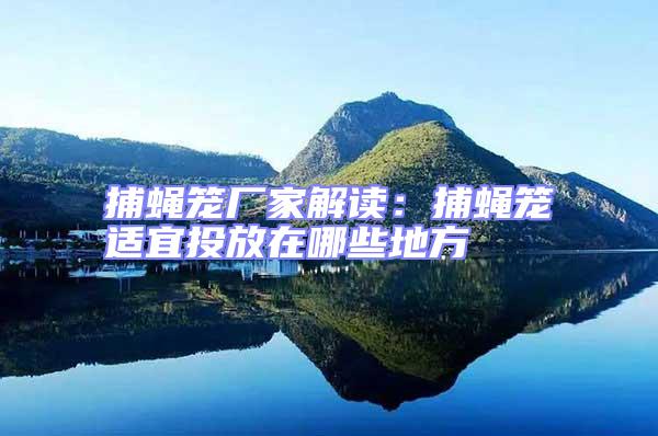 捕蠅籠廠家解讀：捕蠅籠適宜投放在哪些地方