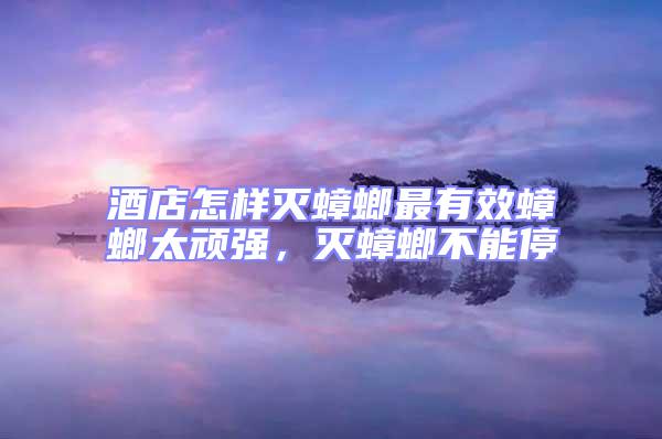 酒店怎樣滅蟑螂最有效蟑螂太頑強,滅蟑螂不能停