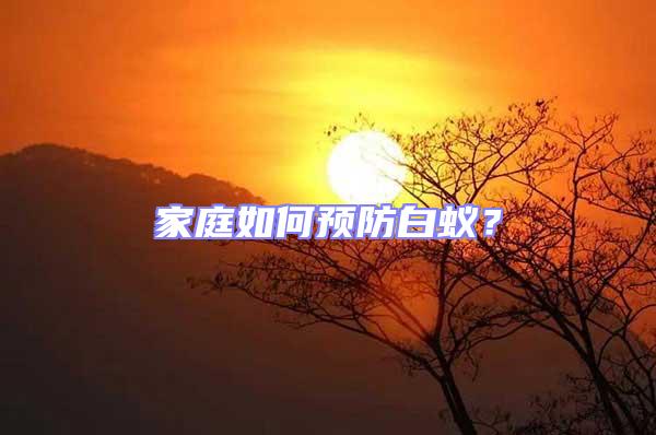 家庭如何預防白蟻?