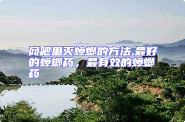 網吧里滅蟑螂的方法,最好的蟑螂藥,最有效的蟑螂藥