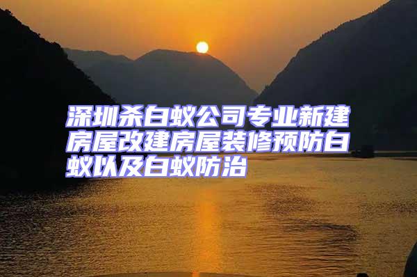 深圳殺白蟻公司專業新建房屋改建房屋裝修預防白蟻以及白蟻防治