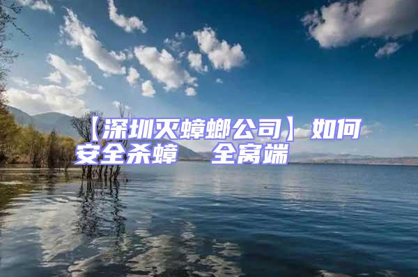 【深圳滅蟑螂公司】如何安全殺蟑 全窩端