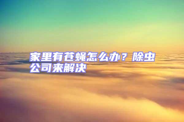 家里有蒼蠅怎么辦？除蟲公司來解決