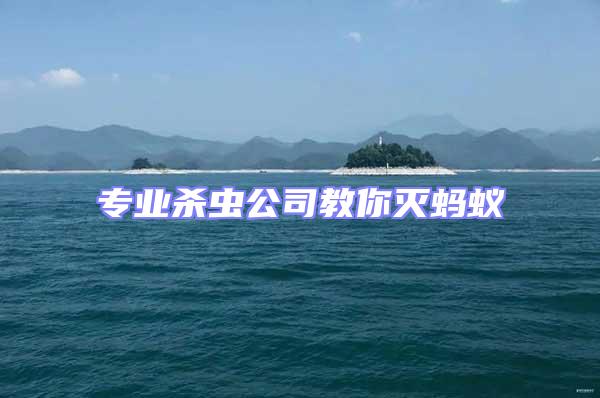 專業殺蟲公司教你滅螞蟻