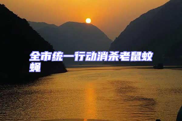 全市統一行動消殺老鼠蚊蠅