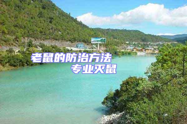 老鼠的防治方法 專業滅鼠