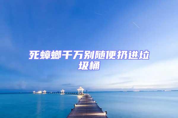 死蟑螂千萬別隨便扔進垃圾桶