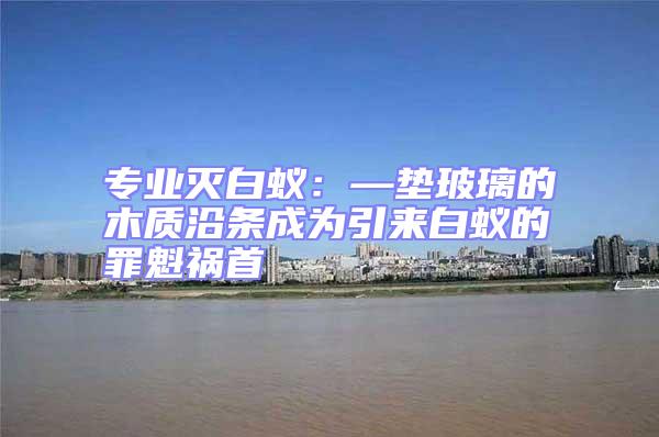 專業滅白蟻:—墊玻璃的木質沿條成為引來白蟻的罪魁禍首