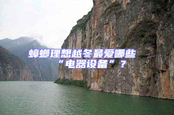 蟑螂理想越冬最愛哪些“電器設(shè)備”?