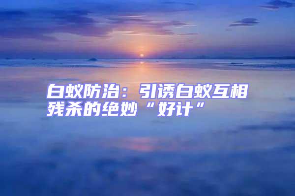 白蟻防治:引誘白蟻互相殘殺的絕妙“好計”