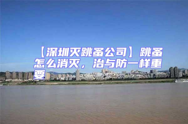 【深圳滅跳蚤公司】跳蚤怎么消滅，治與防一樣重要