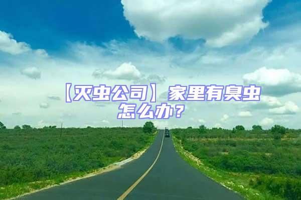 【滅蟲公司】家里有臭蟲怎么辦？