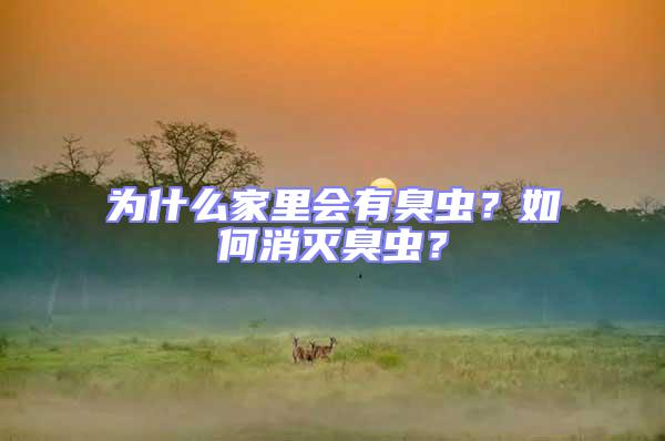 為什么家里會有臭蟲？如何消滅臭蟲？