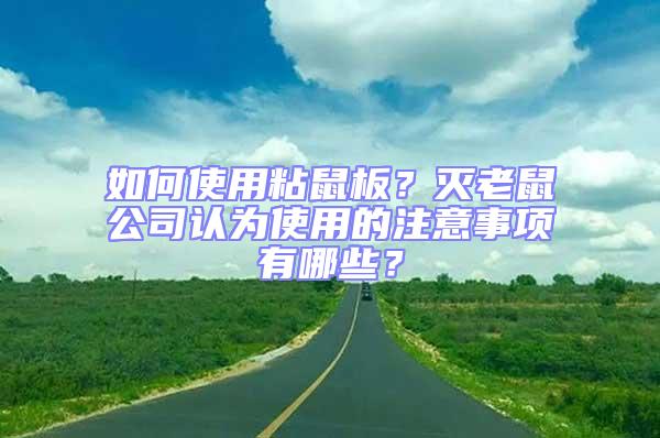 如何使用粘鼠板?滅老鼠公司認為使用的注意事項有哪些?