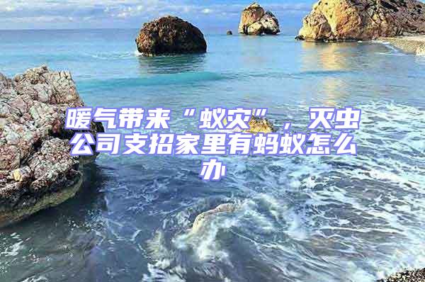 暖氣帶來“蟻災(zāi)”,滅蟲公司支招家里有螞蟻怎么辦
