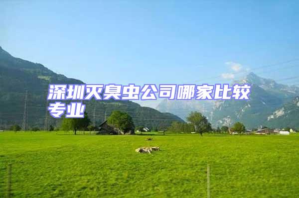 深圳滅臭蟲(chóng)公司哪家比較專業(yè)