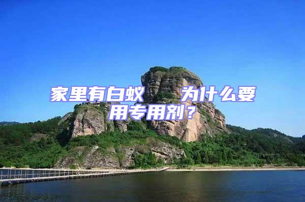家里有白蟻 為什么要用專用劑?