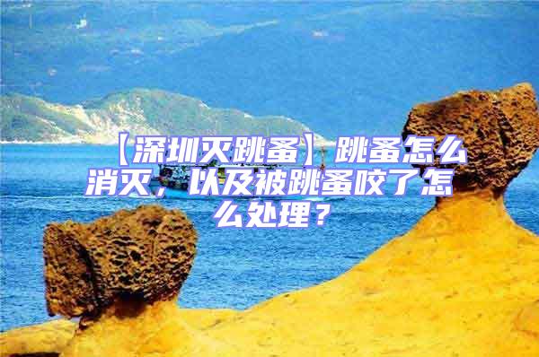 【深圳滅跳蚤】跳蚤怎么消滅,以及被跳蚤咬了怎么處理?