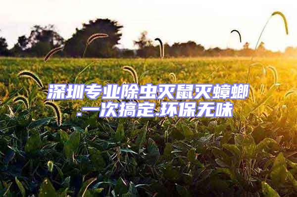 深圳專業除蟲滅鼠滅蟑螂 .一次搞定.環保無味