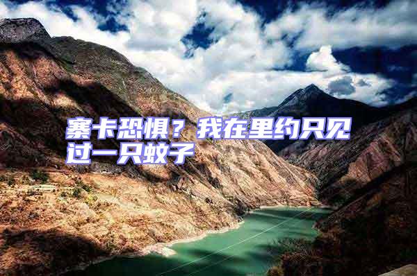 寨卡恐懼?我在里約只見(jiàn)過(guò)一只蚊子