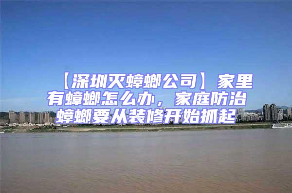 【深圳滅蟑螂公司】家里有蟑螂怎么辦,家庭防治蟑螂要從裝修開始抓起