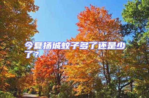 今夏揚(yáng)城蚊子多了還是少了?