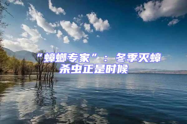 “蟑螂專(zhuān)家”:冬季滅蟑殺蟲(chóng)正是時(shí)候