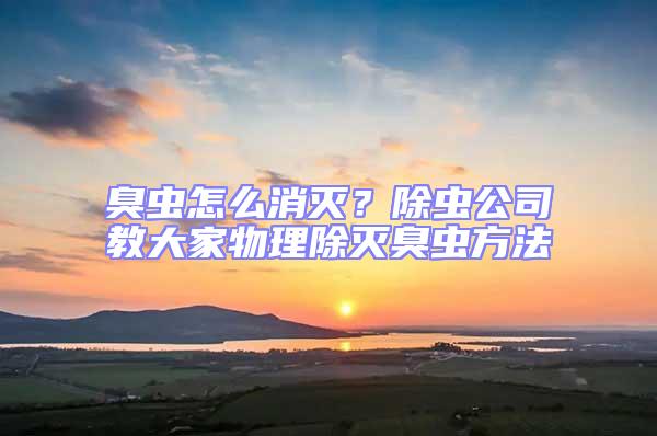 臭蟲怎么消滅?除蟲公司教大家物理除滅臭蟲方法