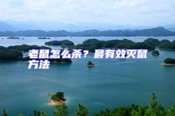 老鼠怎么殺?最有效滅鼠方法