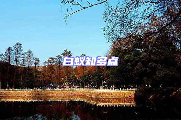 白蟻知多點(diǎn)