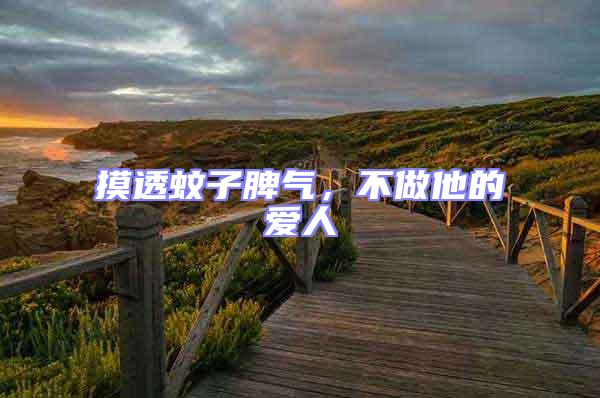 摸透蚊子脾氣,不做他的愛人