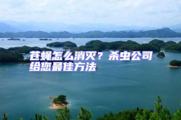 蒼蠅怎么消滅?殺蟲公司給您最佳方法