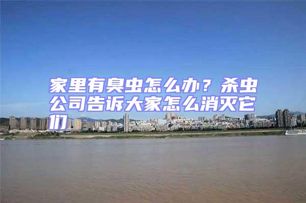 家里有臭蟲怎么辦?殺蟲公司告訴大家怎么消滅它們