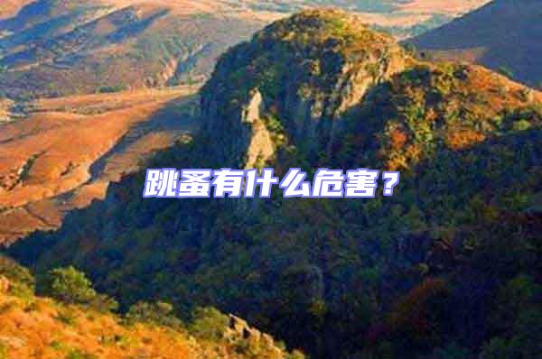 跳蚤有什么危害?