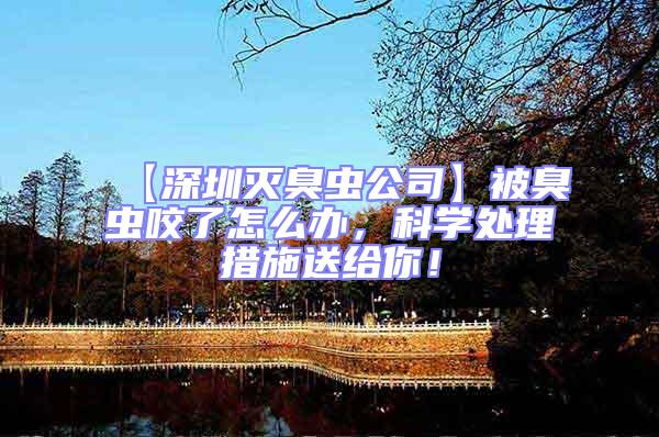 【深圳滅臭蟲公司】被臭蟲咬了怎么辦,科學處理措施送給你!