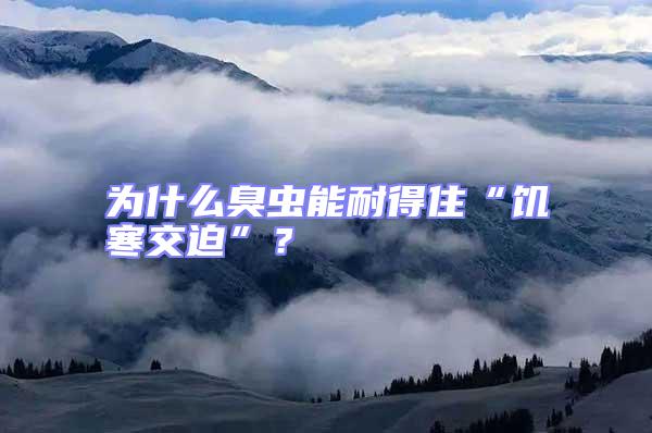 為什么臭蟲能耐得住“饑寒交迫”?