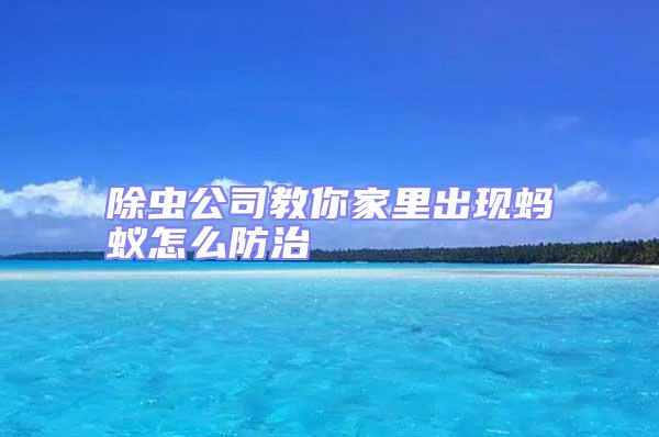 除蟲公司教你家里出現螞蟻怎么防治